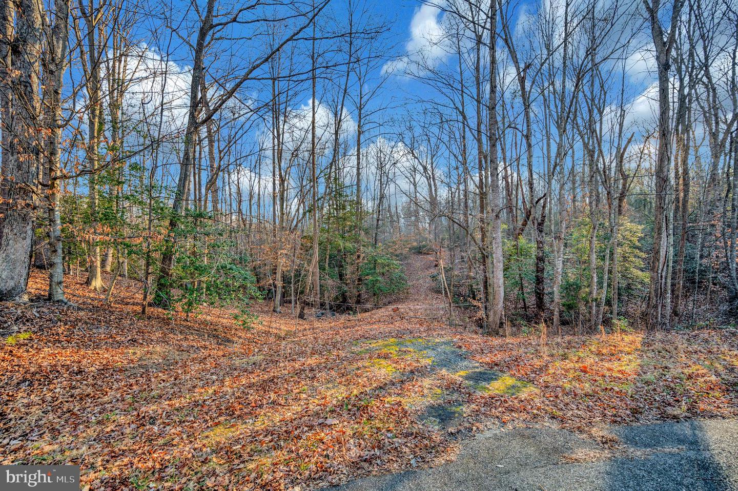 93 DENT RD, STAFFORD, Virginia 22554, ,Land,For sale,93 DENT RD,VAST2045380 MLS # VAST2045380