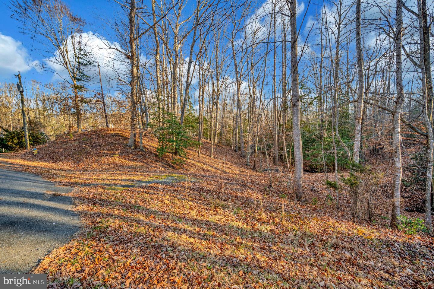 93 DENT RD, STAFFORD, Virginia 22554, ,Land,For sale,93 DENT RD,VAST2045380 MLS # VAST2045380