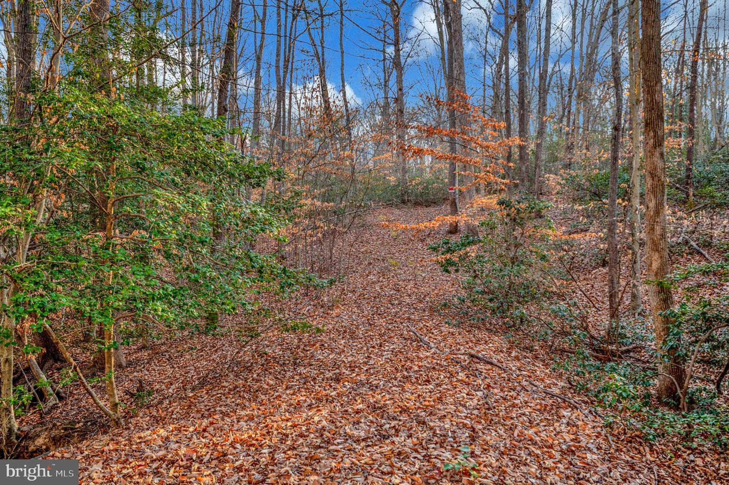 93 DENT RD, STAFFORD, Virginia 22554, ,Land,For sale,93 DENT RD,VAST2045380 MLS # VAST2045380