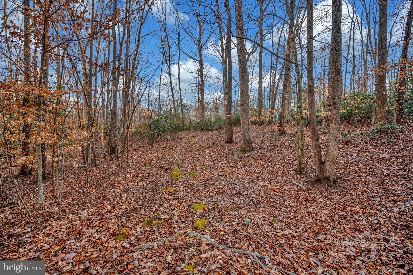 93 DENT RD, STAFFORD, Virginia 22554, ,Land,For sale,93 DENT RD,VAST2045380 MLS # VAST2045380