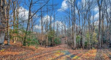 93 DENT RD, STAFFORD, Virginia 22554, ,Land,For sale,93 DENT RD,VAST2045380 MLS # VAST2045380