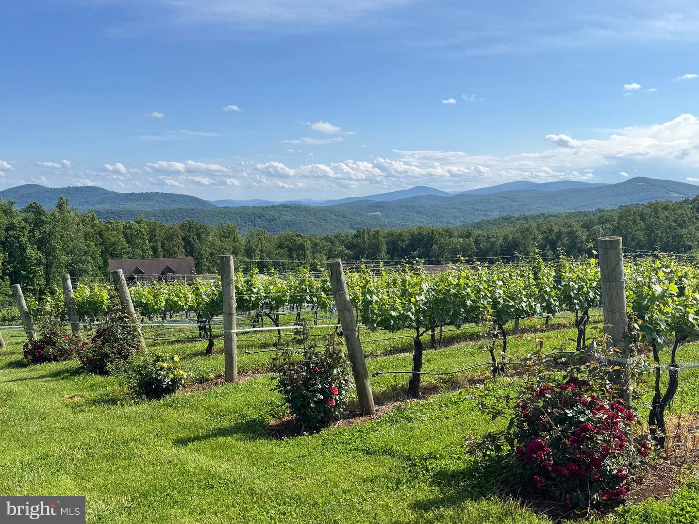 1430 DRUMMER HILL RD, FRONT ROYAL, Virginia 22630, 3 Bedrooms Bedrooms, 5 Rooms Rooms,2 BathroomsBathrooms,Residential,For sale,1430 DRUMMER HILL RD,VAWR2013328 MLS # VAWR2013328