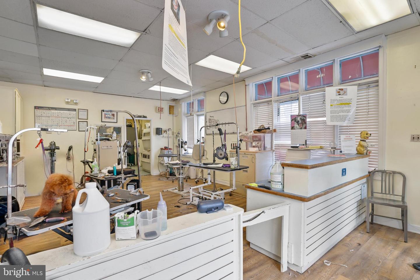 1364 E SE, WASHINGTON, District Of Columbia 20003, ,Land,For sale,1364 E SE,DCDC2246704 MLS # DCDC2246704