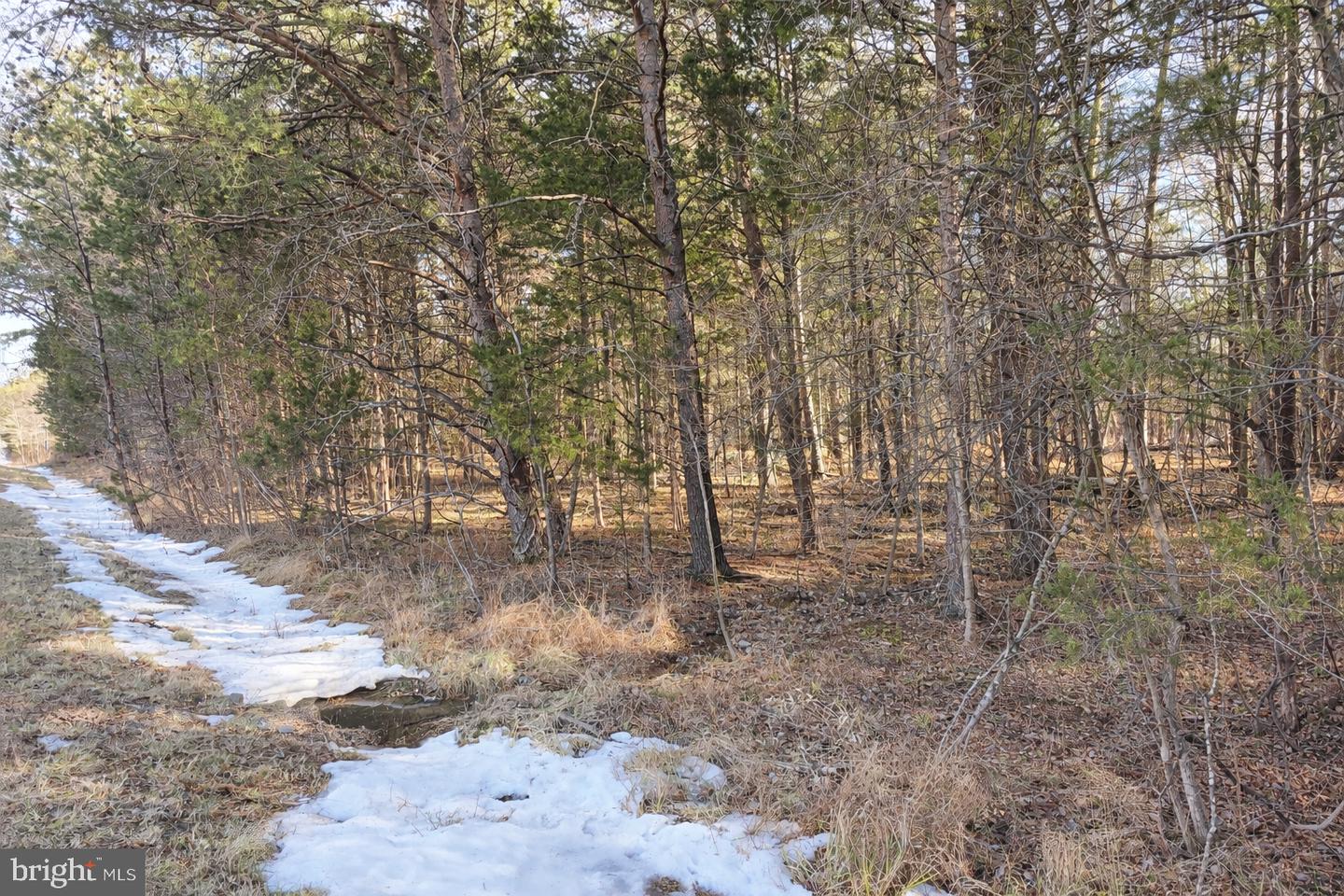 16601 GAINES RD, BROAD RUN, Virginia 20137, ,Land,For sale,16601 GAINES RD,VAPW2112884 MLS # VAPW2112884