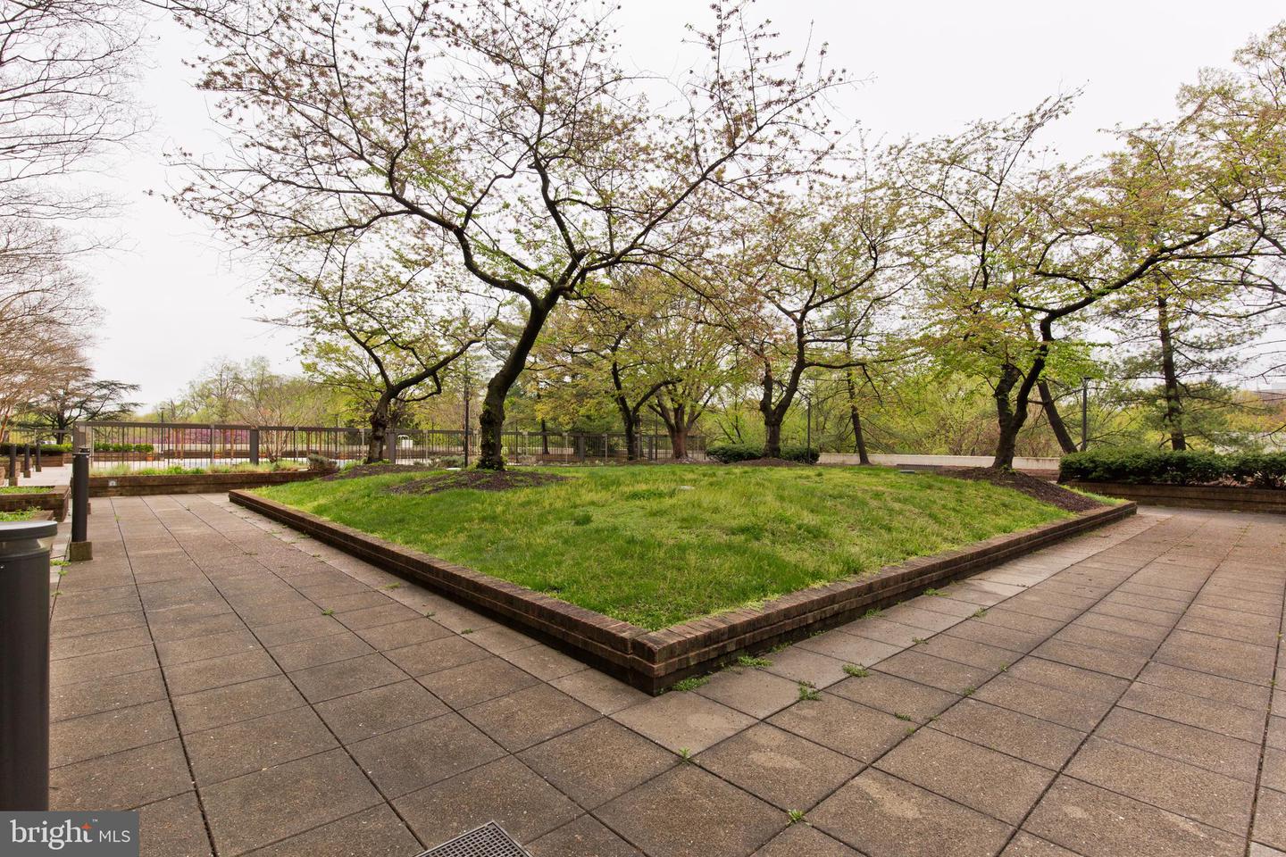 1016 S WAYNE ST #406, ARLINGTON, Virginia 22204, 1 Bedroom Bedrooms, ,1 BathroomBathrooms,Residential,For sale,1016 S WAYNE ST #406,VAAR2060344 MLS # VAAR2060344 1016 S WAYNE ST #406, ARLINGTON, Virginia 22204, 1 Bedroom Bedrooms, ,1 BathroomBathrooms,Residential,For sale,1016 S WAYNE ST #406,VAAR2060344 MLS # VAAR2060344