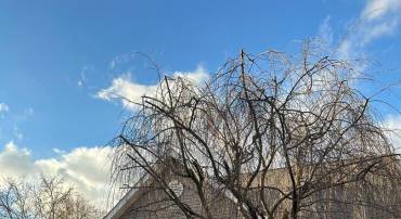 122 BAYBERRY CT, STEPHENS CITY, Virginia 22655, 2 Bedrooms Bedrooms, 6 Rooms Rooms,2 BathroomsBathrooms,Residential,For sale,122 BAYBERRY CT,VAFV2038178 MLS # VAFV2038178