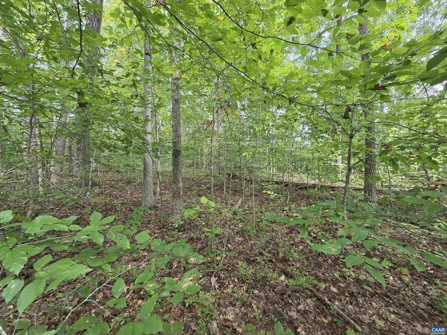 230 BEECH NUT DR #951 & 952, LOUISA, Virginia 23093, ,Land,For sale,230 BEECH NUT DR #951 & 952,669149 MLS # 669149