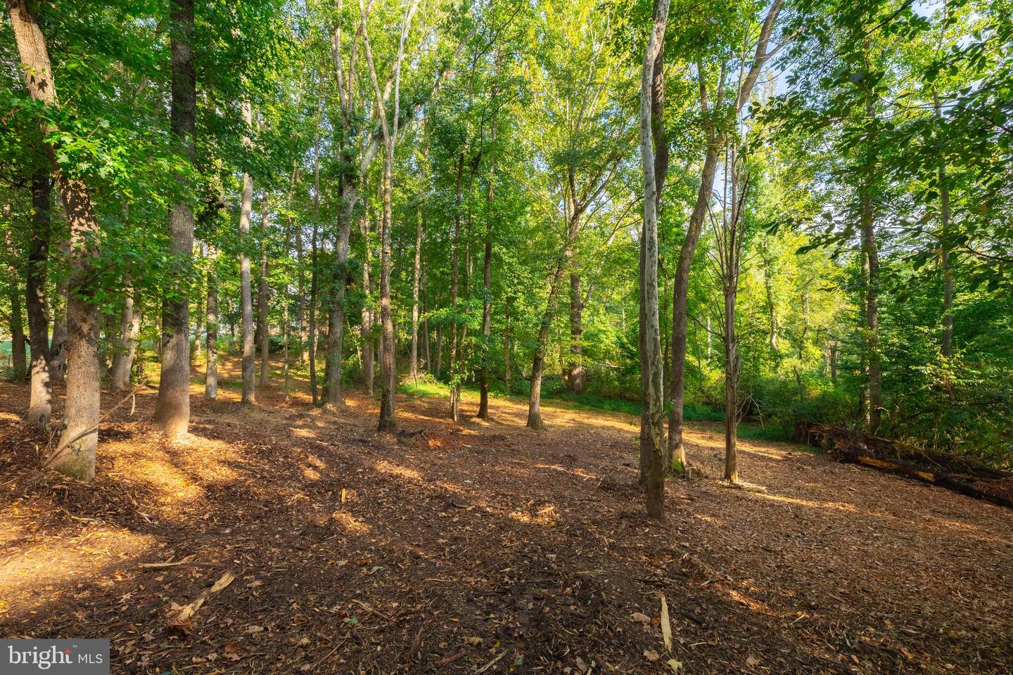 16300 PLEASANT MILL ROAD, MONTPELIER, Virginia 23192, ,Land,For sale,16300 PLEASANT MILL ROAD,VAHA2001106 MLS # VAHA2001106