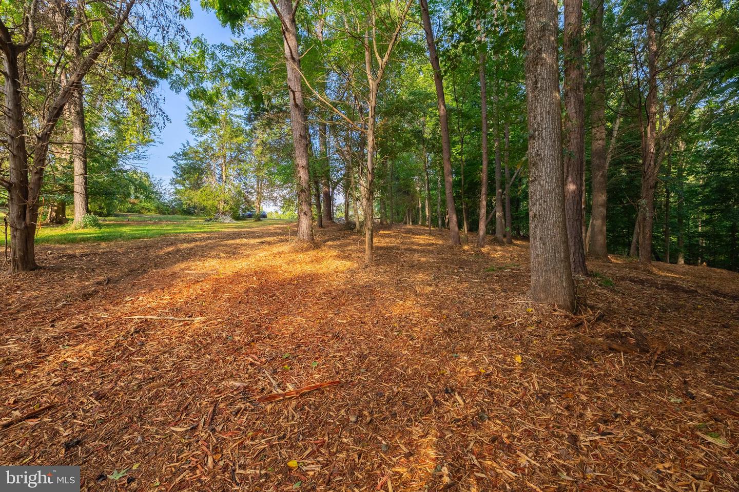 16300 PLEASANT MILL ROAD, MONTPELIER, Virginia 23192, ,Land,For sale,16300 PLEASANT MILL ROAD,VAHA2001106 MLS # VAHA2001106