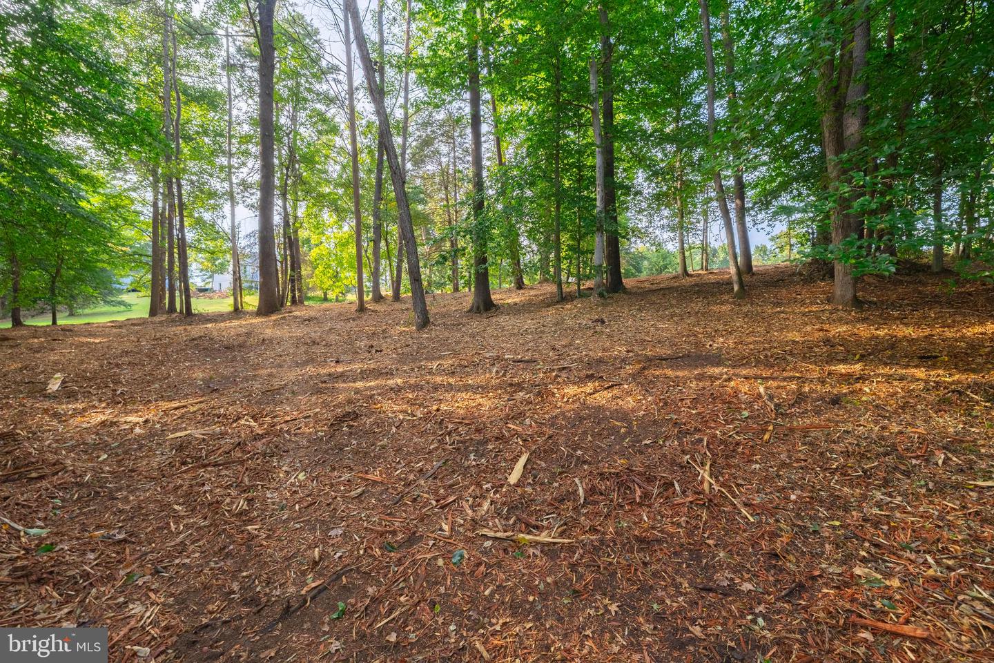 16300 PLEASANT MILL ROAD, MONTPELIER, Virginia 23192, ,Land,For sale,16300 PLEASANT MILL ROAD,VAHA2001106 MLS # VAHA2001106