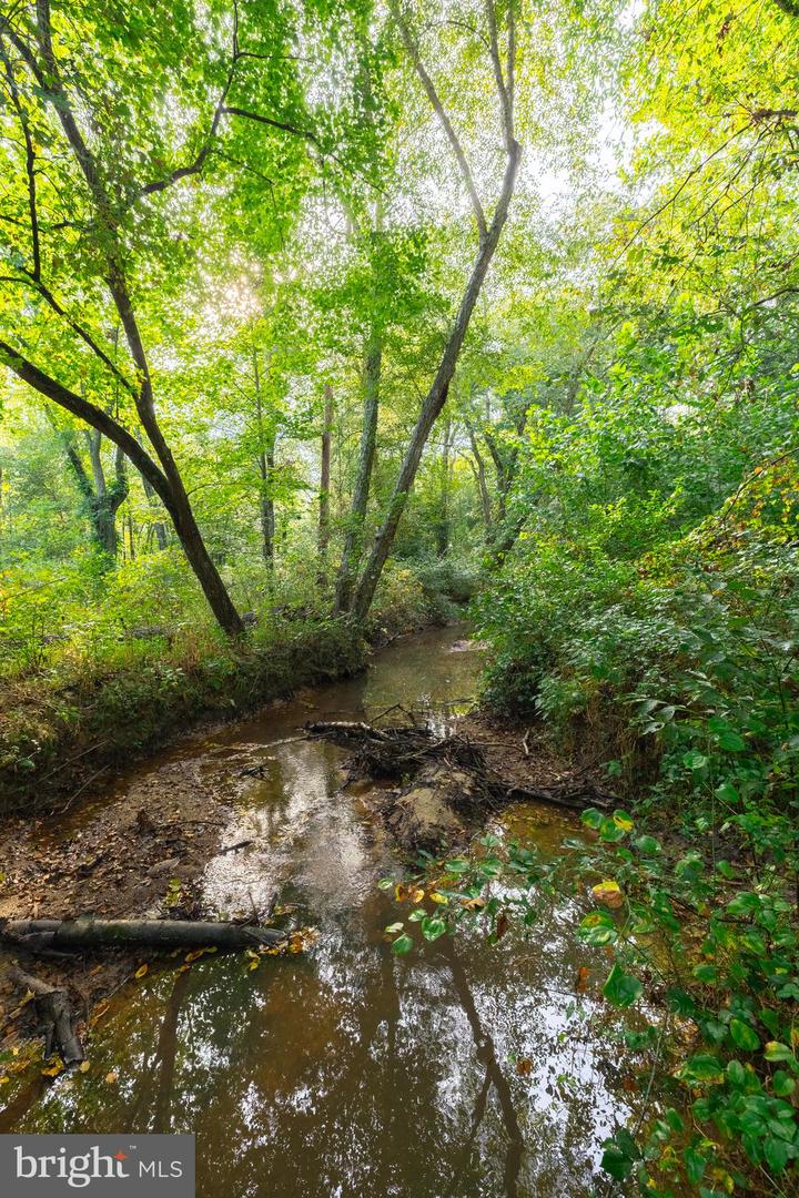 16300 PLEASANT MILL ROAD, MONTPELIER, Virginia 23192, ,Land,For sale,16300 PLEASANT MILL ROAD,VAHA2001106 MLS # VAHA2001106