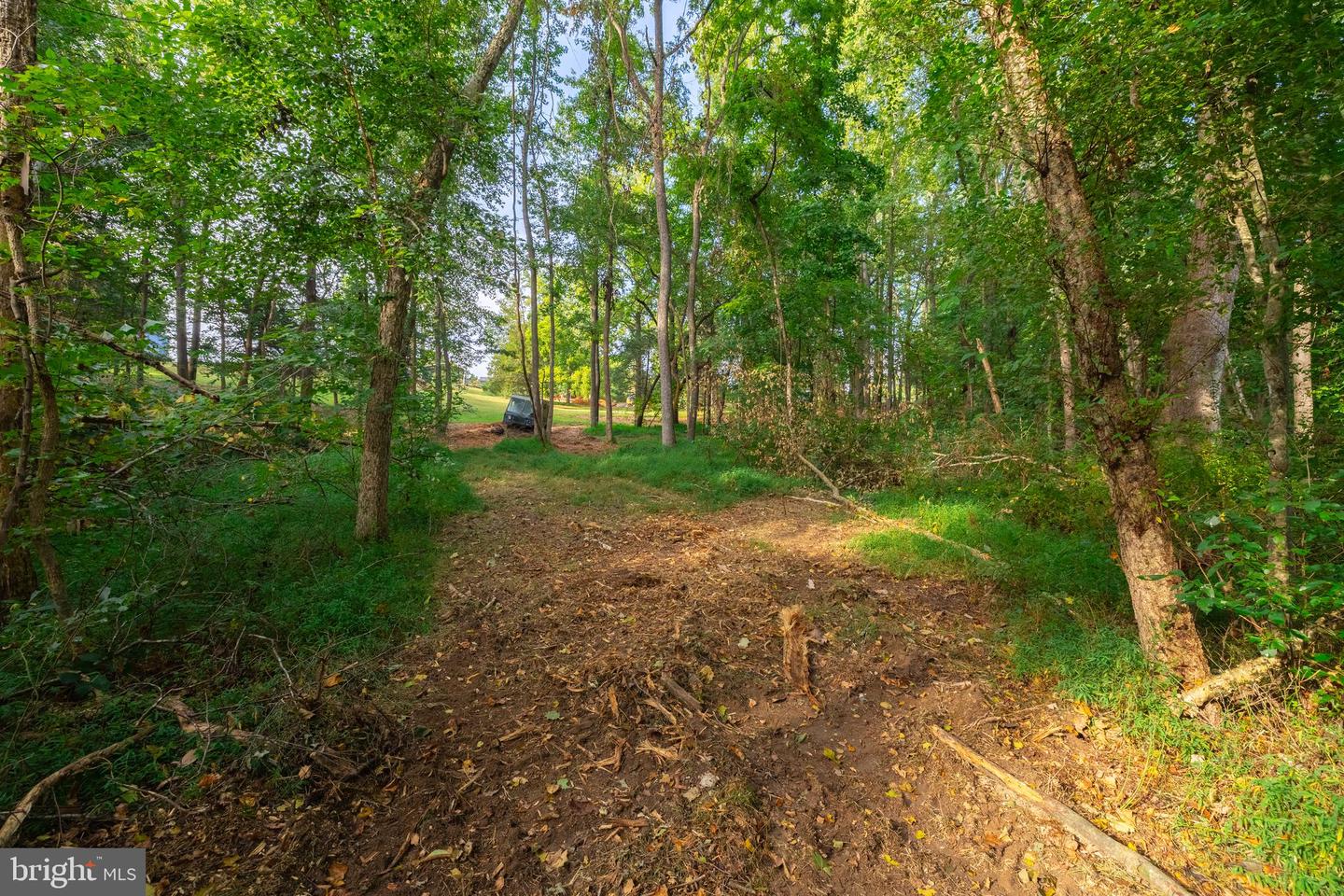 16300 PLEASANT MILL ROAD, MONTPELIER, Virginia 23192, ,Land,For sale,16300 PLEASANT MILL ROAD,VAHA2001106 MLS # VAHA2001106