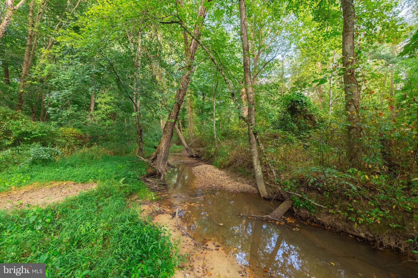 16310 PLEASANT MILL ROAD, MONTPELIER, Virginia 23192, ,Land,For sale,16310 PLEASANT MILL ROAD,VAHA2001112 MLS # VAHA2001112