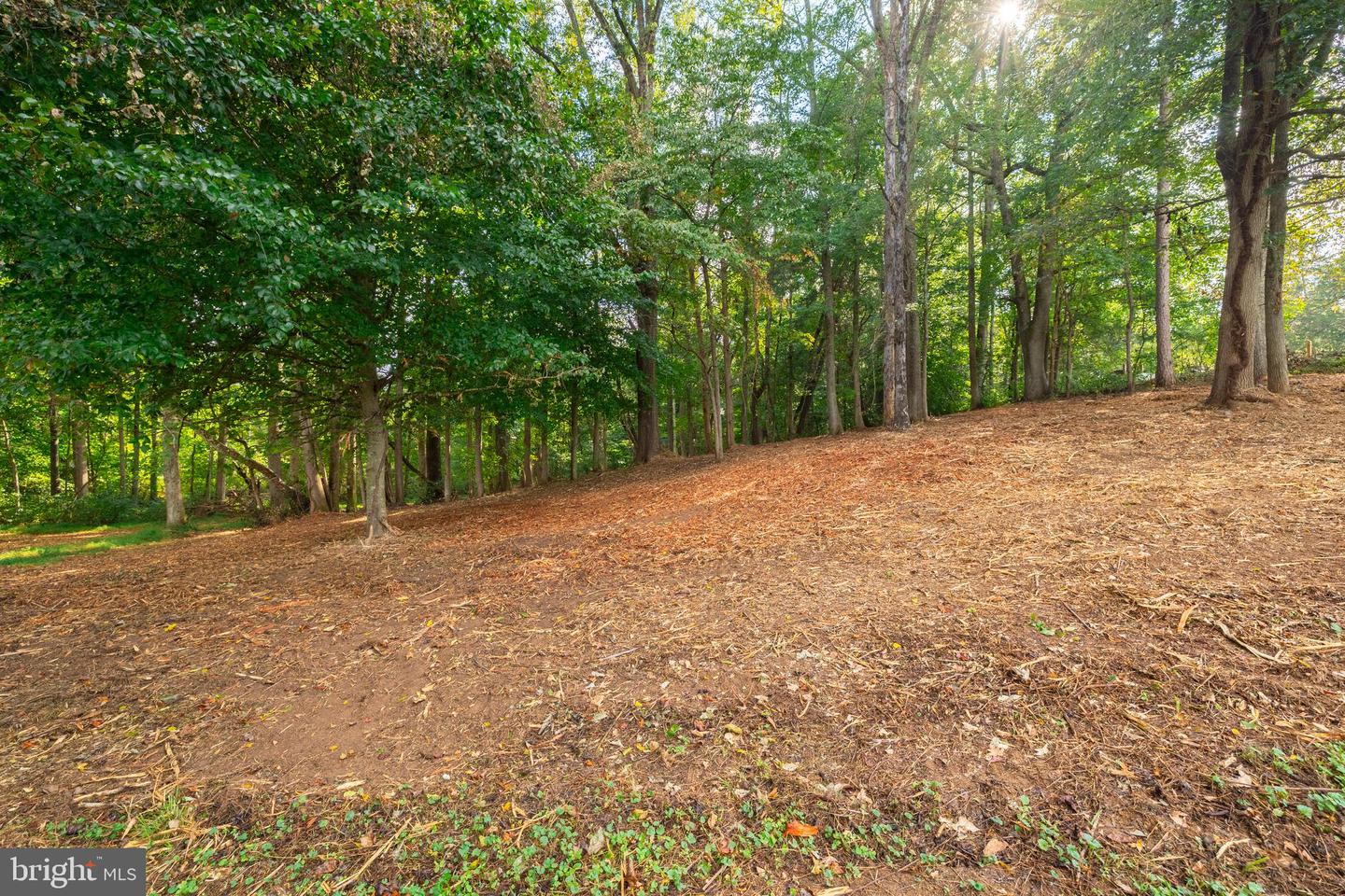 16306 PLEASANT MILL ROAD, MONTPELIER, Virginia 23192, ,Land,For sale,16306 PLEASANT MILL ROAD,VAHA2001114 MLS # VAHA2001114 16306 PLEASANT MILL ROAD, MONTPELIER, Virginia 23192, ,Land,For sale,16306 PLEASANT MILL ROAD,VAHA2001114 MLS # VAHA2001114