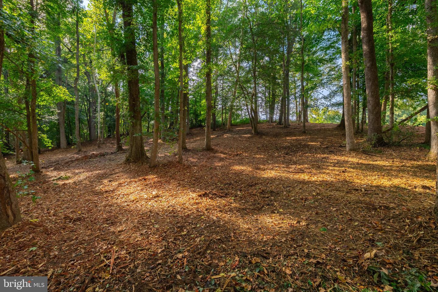 16306 PLEASANT MILL ROAD, MONTPELIER, Virginia 23192, ,Land,For sale,16306 PLEASANT MILL ROAD,VAHA2001114 MLS # VAHA2001114 16306 PLEASANT MILL ROAD, MONTPELIER, Virginia 23192, ,Land,For sale,16306 PLEASANT MILL ROAD,VAHA2001114 MLS # VAHA2001114