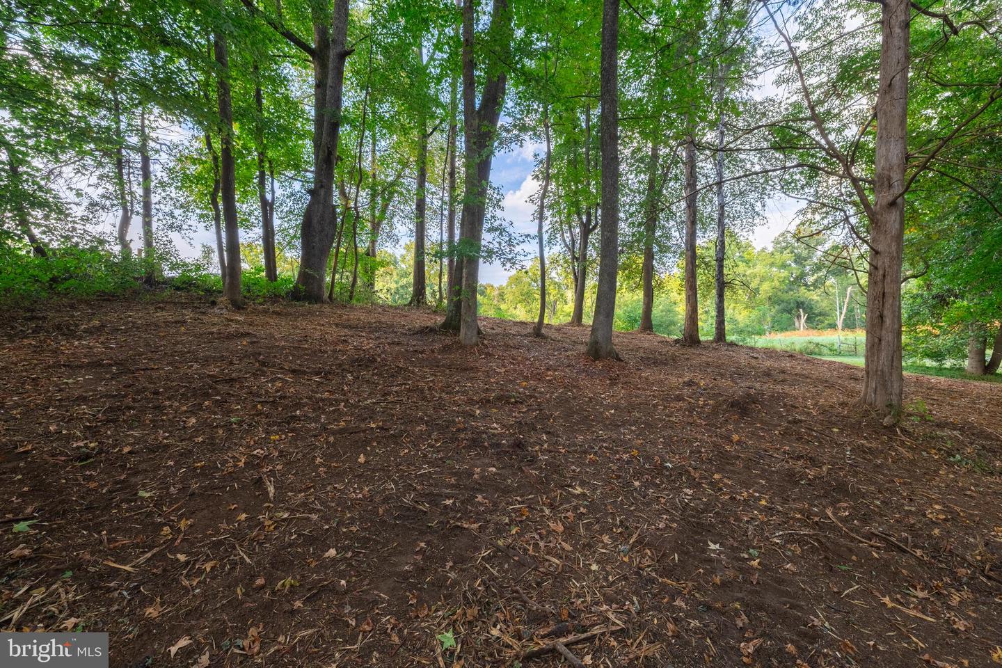 16306 PLEASANT MILL ROAD, MONTPELIER, Virginia 23192, ,Land,For sale,16306 PLEASANT MILL ROAD,VAHA2001114 MLS # VAHA2001114 16306 PLEASANT MILL ROAD, MONTPELIER, Virginia 23192, ,Land,For sale,16306 PLEASANT MILL ROAD,VAHA2001114 MLS # VAHA2001114