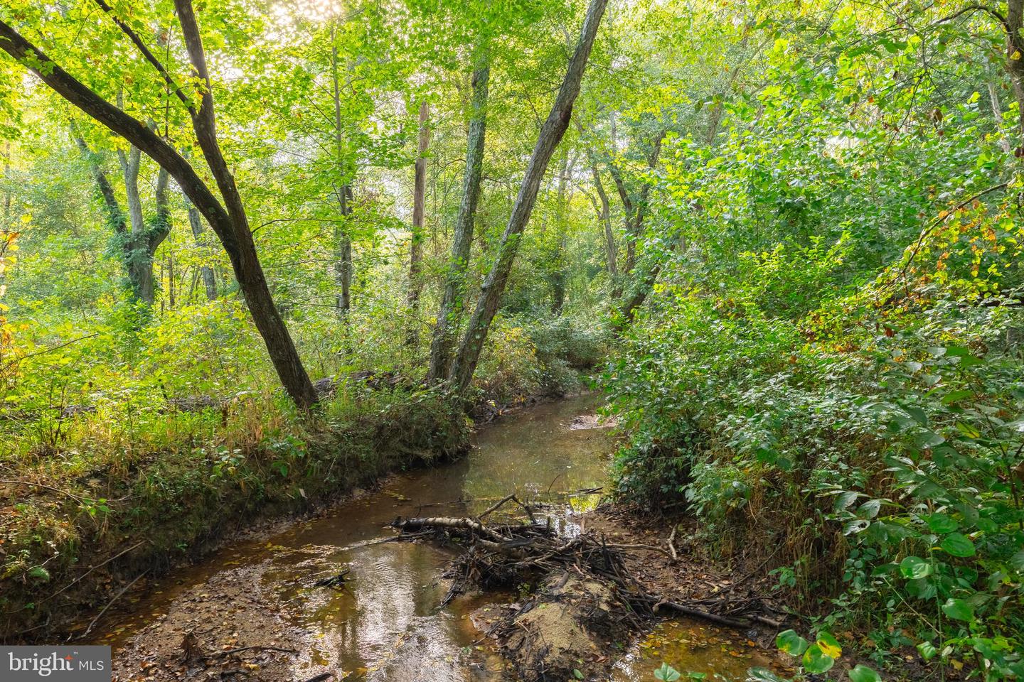 16306 PLEASANT MILL ROAD, MONTPELIER, Virginia 23192, ,Land,For sale,16306 PLEASANT MILL ROAD,VAHA2001114 MLS # VAHA2001114 16306 PLEASANT MILL ROAD, MONTPELIER, Virginia 23192, ,Land,For sale,16306 PLEASANT MILL ROAD,VAHA2001114 MLS # VAHA2001114
