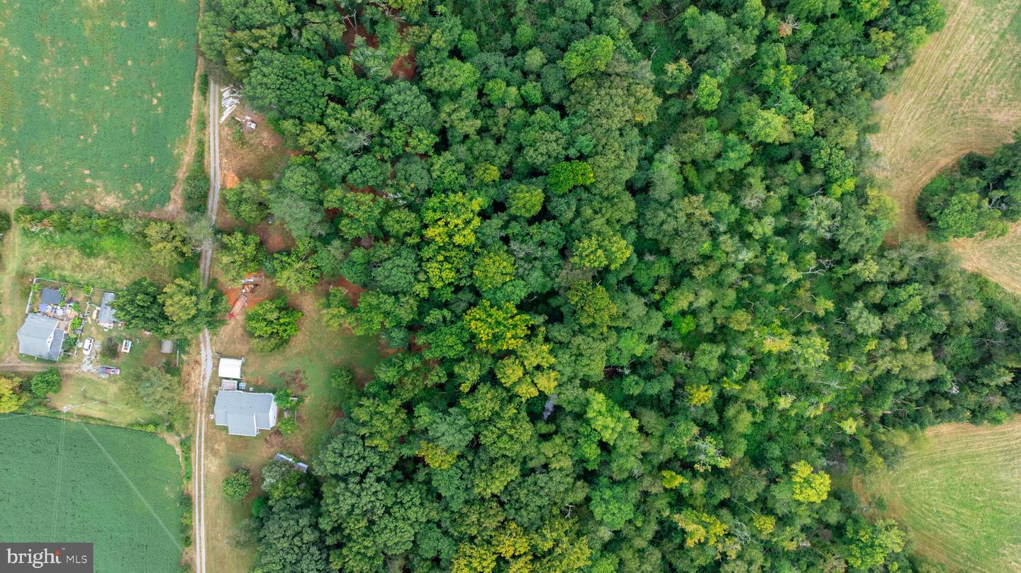 16306 PLEASANT MILL ROAD, MONTPELIER, Virginia 23192, ,Land,For sale,16306 PLEASANT MILL ROAD,VAHA2001114 MLS # VAHA2001114 16306 PLEASANT MILL ROAD, MONTPELIER, Virginia 23192, ,Land,For sale,16306 PLEASANT MILL ROAD,VAHA2001114 MLS # VAHA2001114