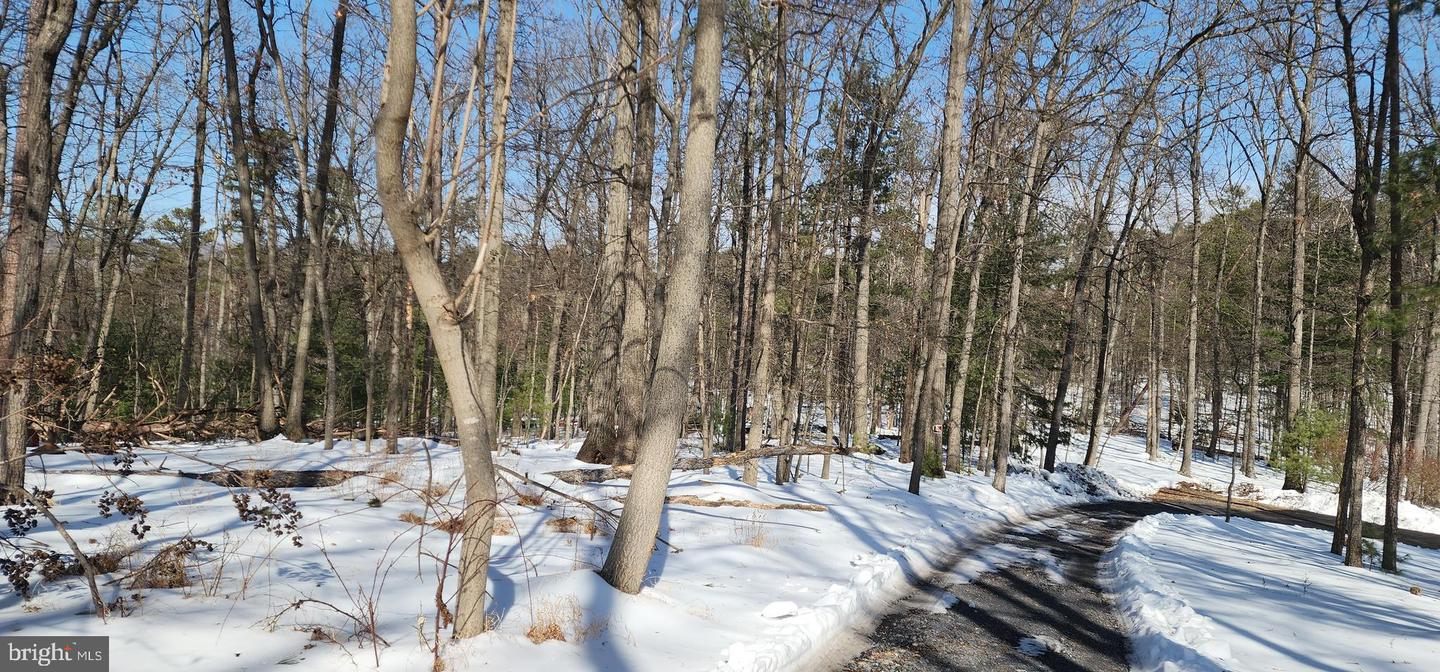 0 DOGWOOD LN, BENTONVILLE, Virginia 22610, ,Land,For sale,0 DOGWOOD LN,VAWR2013404 MLS # VAWR2013404 0 DOGWOOD LN, BENTONVILLE, Virginia 22610, ,Land,For sale,0 DOGWOOD LN,VAWR2013404 MLS # VAWR2013404