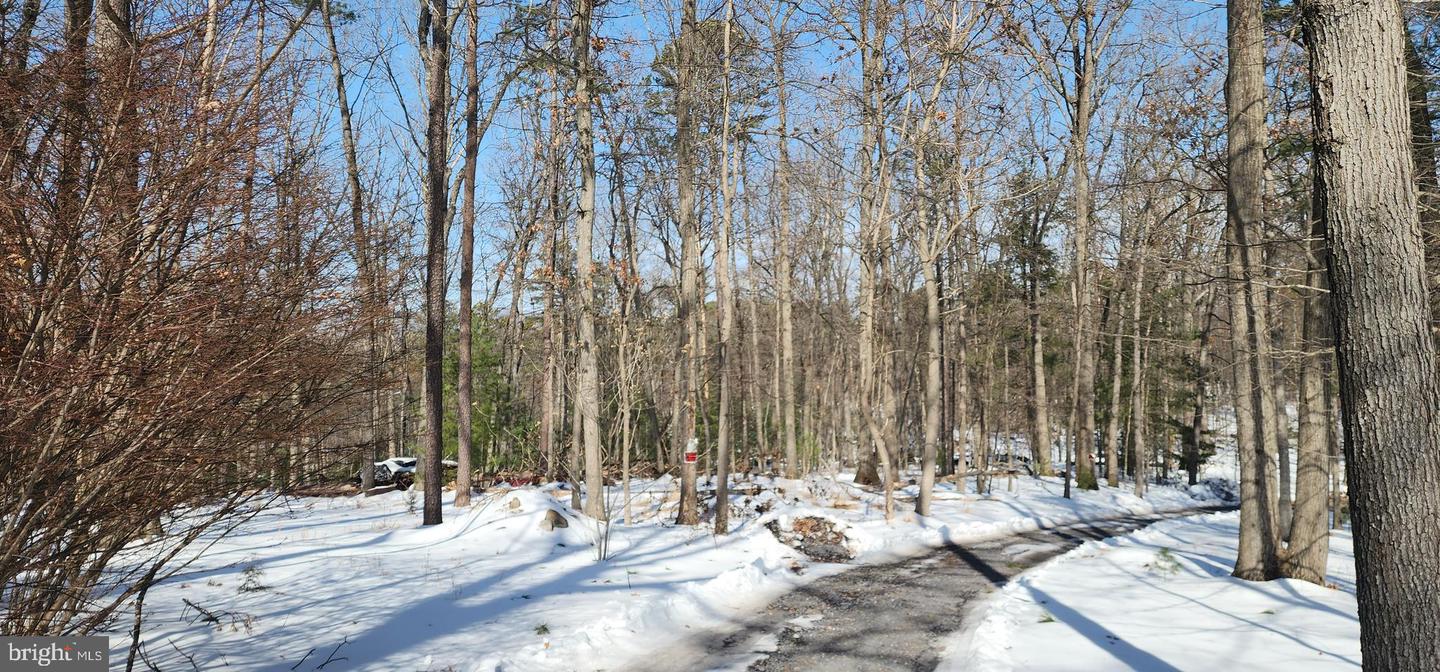 0 DOGWOOD LN, BENTONVILLE, Virginia 22610, ,Land,For sale,0 DOGWOOD LN,VAWR2013404 MLS # VAWR2013404 0 DOGWOOD LN, BENTONVILLE, Virginia 22610, ,Land,For sale,0 DOGWOOD LN,VAWR2013404 MLS # VAWR2013404