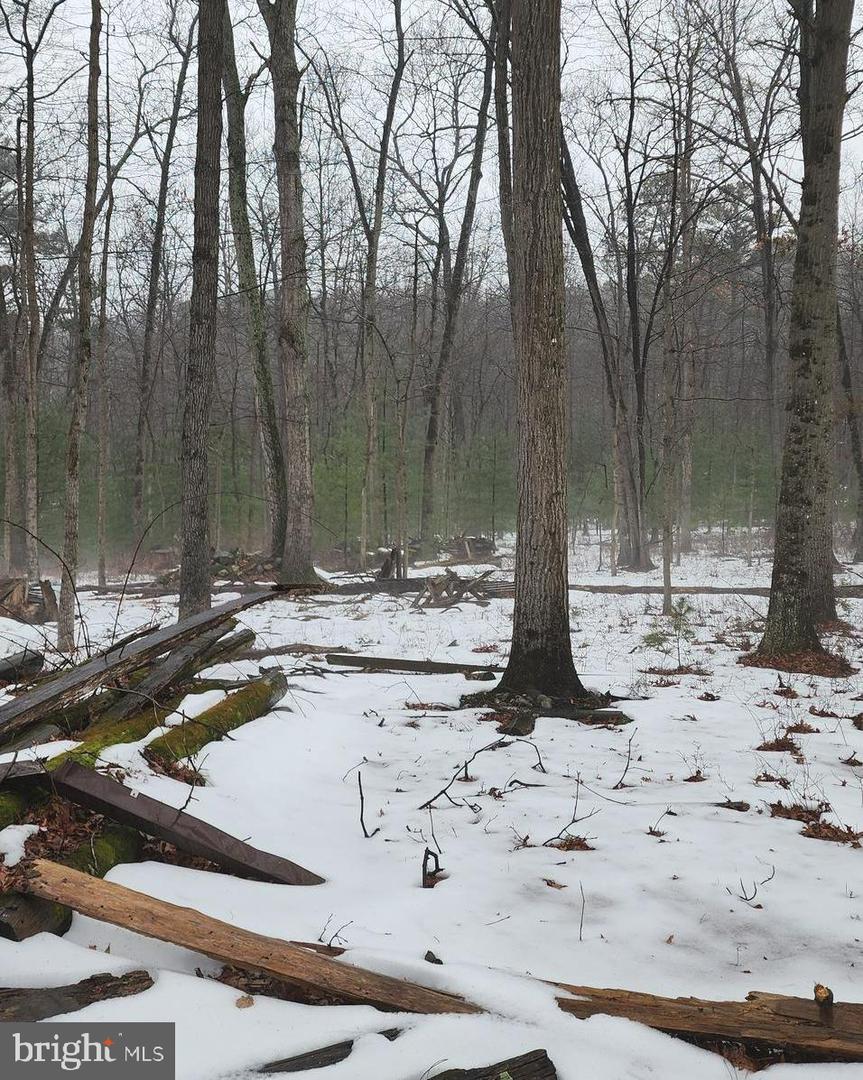 0 DOGWOOD LN, BENTONVILLE, Virginia 22610, ,Land,For sale,0 DOGWOOD LN,VAWR2013404 MLS # VAWR2013404 0 DOGWOOD LN, BENTONVILLE, Virginia 22610, ,Land,For sale,0 DOGWOOD LN,VAWR2013404 MLS # VAWR2013404