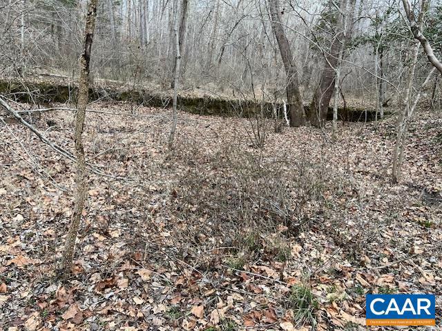 OLD SAND RD, OLD DOMINION, Virginia 22969, ,Land,For sale,OLD SAND RD,673511 MLS # 673511 OLD SAND RD, OLD DOMINION, Virginia 22969, ,Land,For sale,OLD SAND RD,673511 MLS # 673511