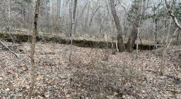 OLD SAND RD, OLD DOMINION, Virginia 22969, ,Land,For sale,OLD SAND RD,673511 MLS # 673511