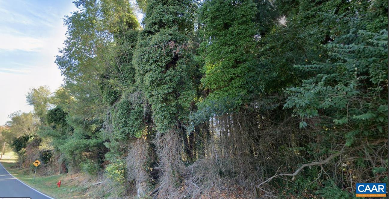 TBD WHITE BRIDGE RD, WAYNESBORO, Virginia 22980, ,Land,For sale,TBD WHITE BRIDGE RD,673516 MLS # 673516