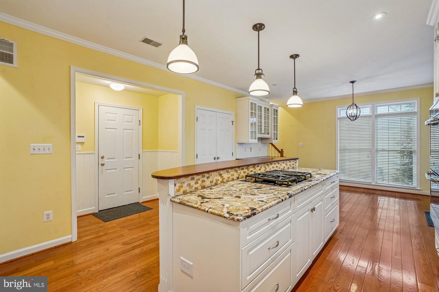 20338 CLIFTONS POINT ST, POTOMAC FALLS, Virginia 20165, 4 Bedrooms Bedrooms, 9 Rooms Rooms,4 BathroomsBathrooms,Residential,For sale,20338 CLIFTONS POINT ST,VALO2114276 MLS # VALO2114276