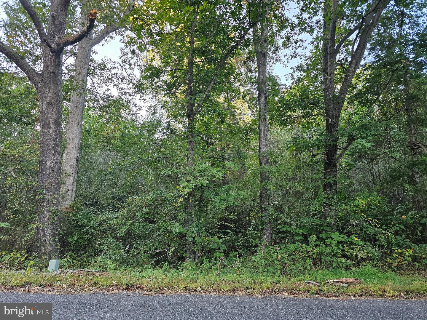 LOT 52 LOWE DR, HAGUE, Virginia 22469, ,Land,For sale,LOT 52 LOWE DR,VAWE2009394 MLS # VAWE2009394
