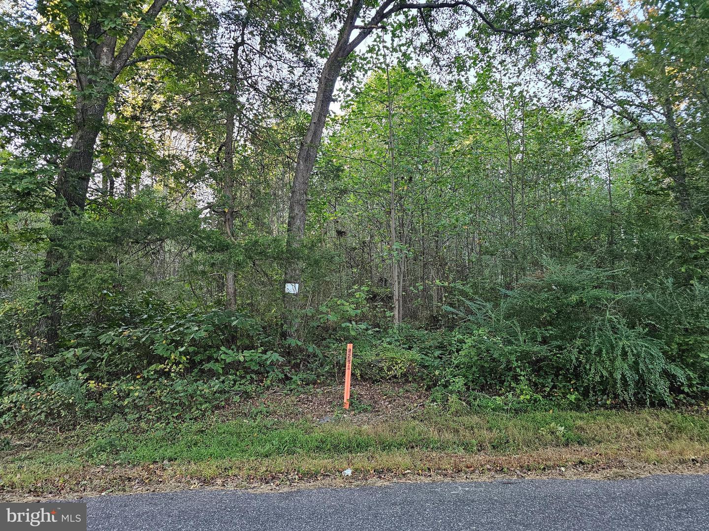 LOT 52 LOWE DR, HAGUE, Virginia 22469, ,Land,For sale,LOT 52 LOWE DR,VAWE2009394 MLS # VAWE2009394