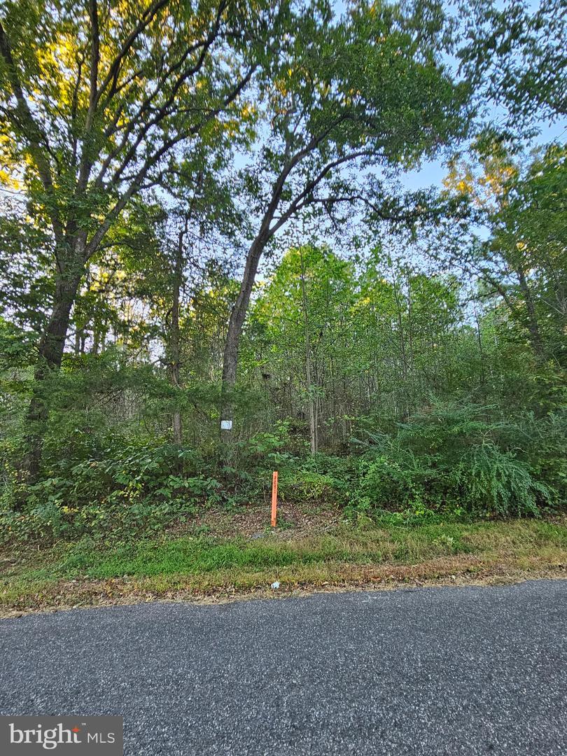 LOT 52 LOWE DR, HAGUE, Virginia 22469, ,Land,For sale,LOT 52 LOWE DR,VAWE2009394 MLS # VAWE2009394