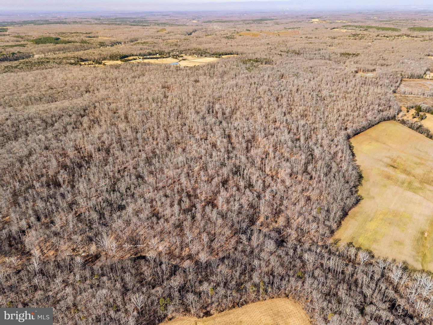 SPRING MILL ROAD, GOLDVEIN, Virginia 22720, ,Farm,For sale,SPRING MILL ROAD,VAFQ2020478 MLS # VAFQ2020478 SPRING MILL ROAD, GOLDVEIN, Virginia 22720, ,Farm,For sale,SPRING MILL ROAD,VAFQ2020478 MLS # VAFQ2020478