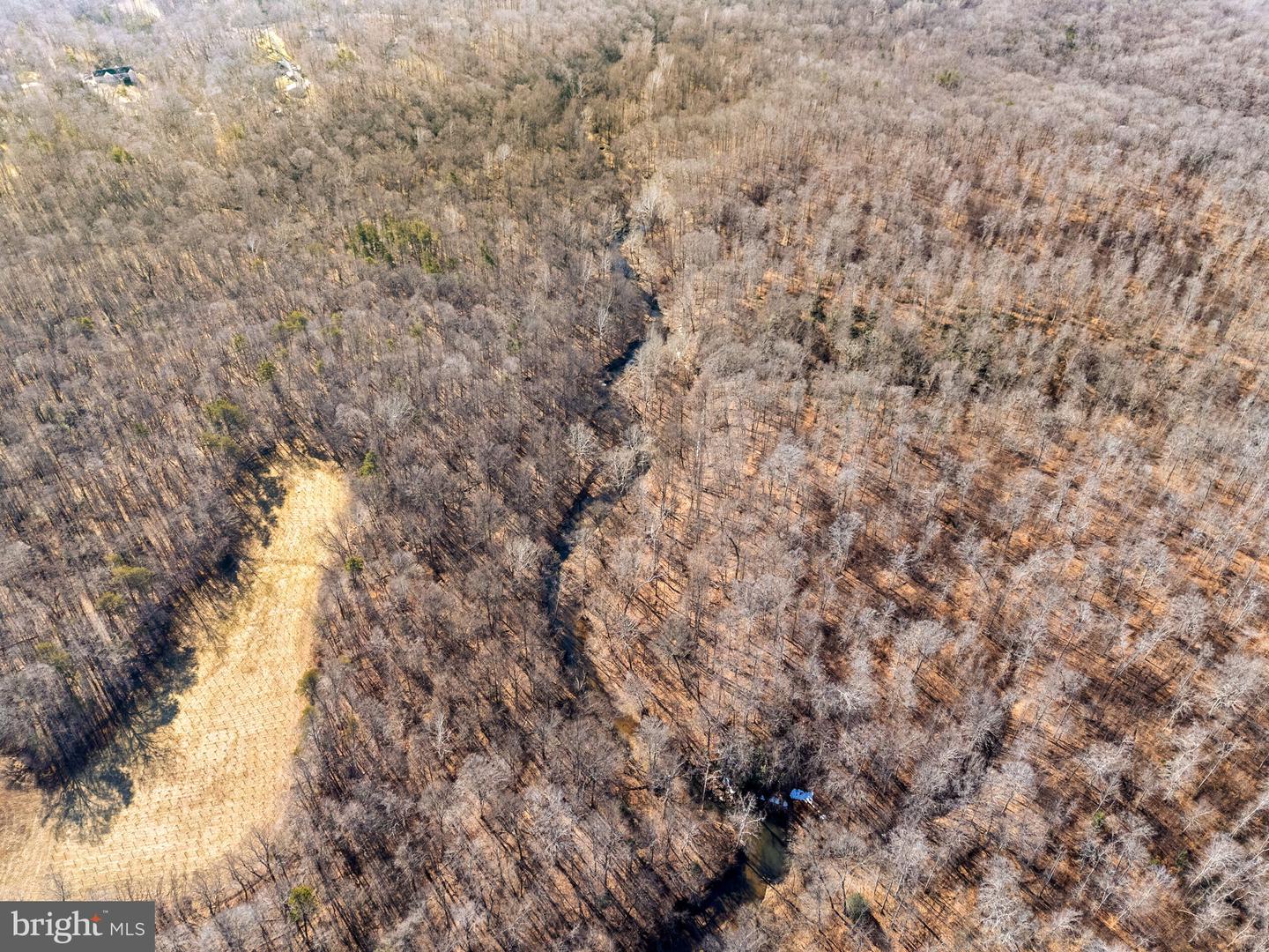 SPRING MILL ROAD, GOLDVEIN, Virginia 22720, ,Farm,For sale,SPRING MILL ROAD,VAFQ2020478 MLS # VAFQ2020478 SPRING MILL ROAD, GOLDVEIN, Virginia 22720, ,Farm,For sale,SPRING MILL ROAD,VAFQ2020478 MLS # VAFQ2020478