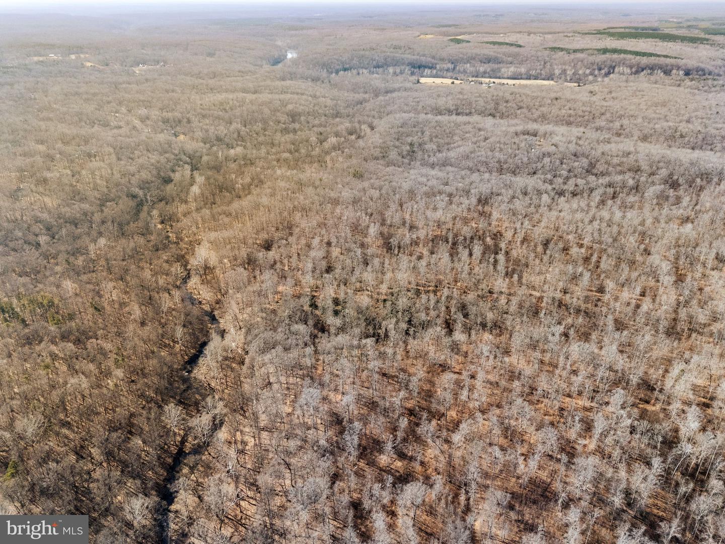 SPRING MILL ROAD, GOLDVEIN, Virginia 22720, ,Farm,For sale,SPRING MILL ROAD,VAFQ2020478 MLS # VAFQ2020478 SPRING MILL ROAD, GOLDVEIN, Virginia 22720, ,Farm,For sale,SPRING MILL ROAD,VAFQ2020478 MLS # VAFQ2020478