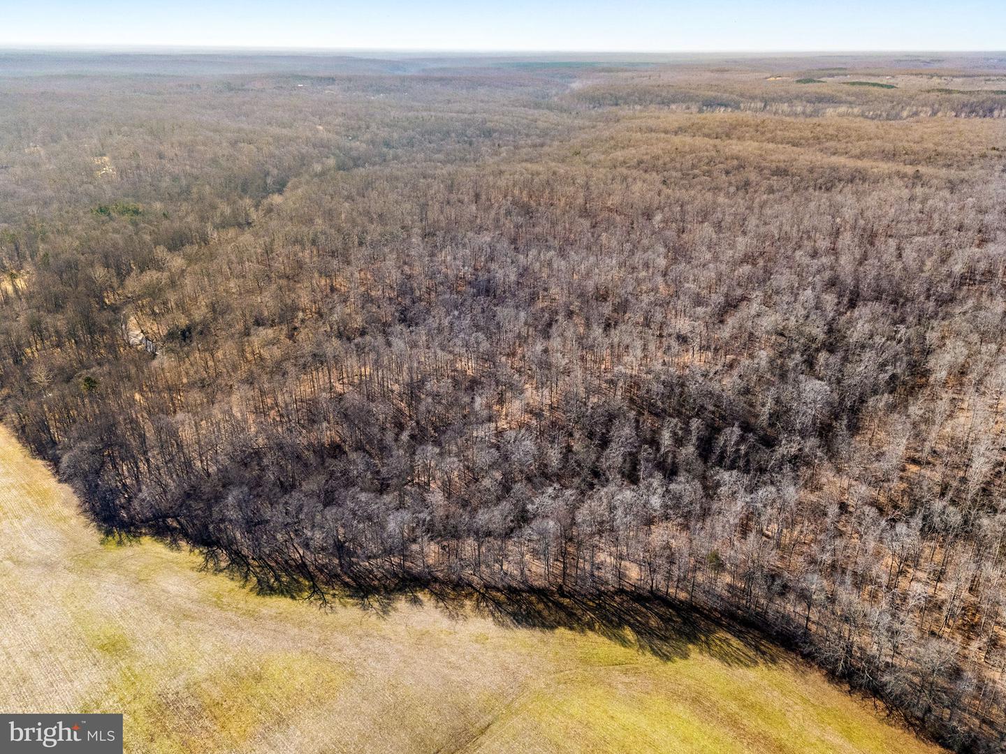 SPRING MILL ROAD, GOLDVEIN, Virginia 22720, ,Farm,For sale,SPRING MILL ROAD,VAFQ2020478 MLS # VAFQ2020478 SPRING MILL ROAD, GOLDVEIN, Virginia 22720, ,Farm,For sale,SPRING MILL ROAD,VAFQ2020478 MLS # VAFQ2020478