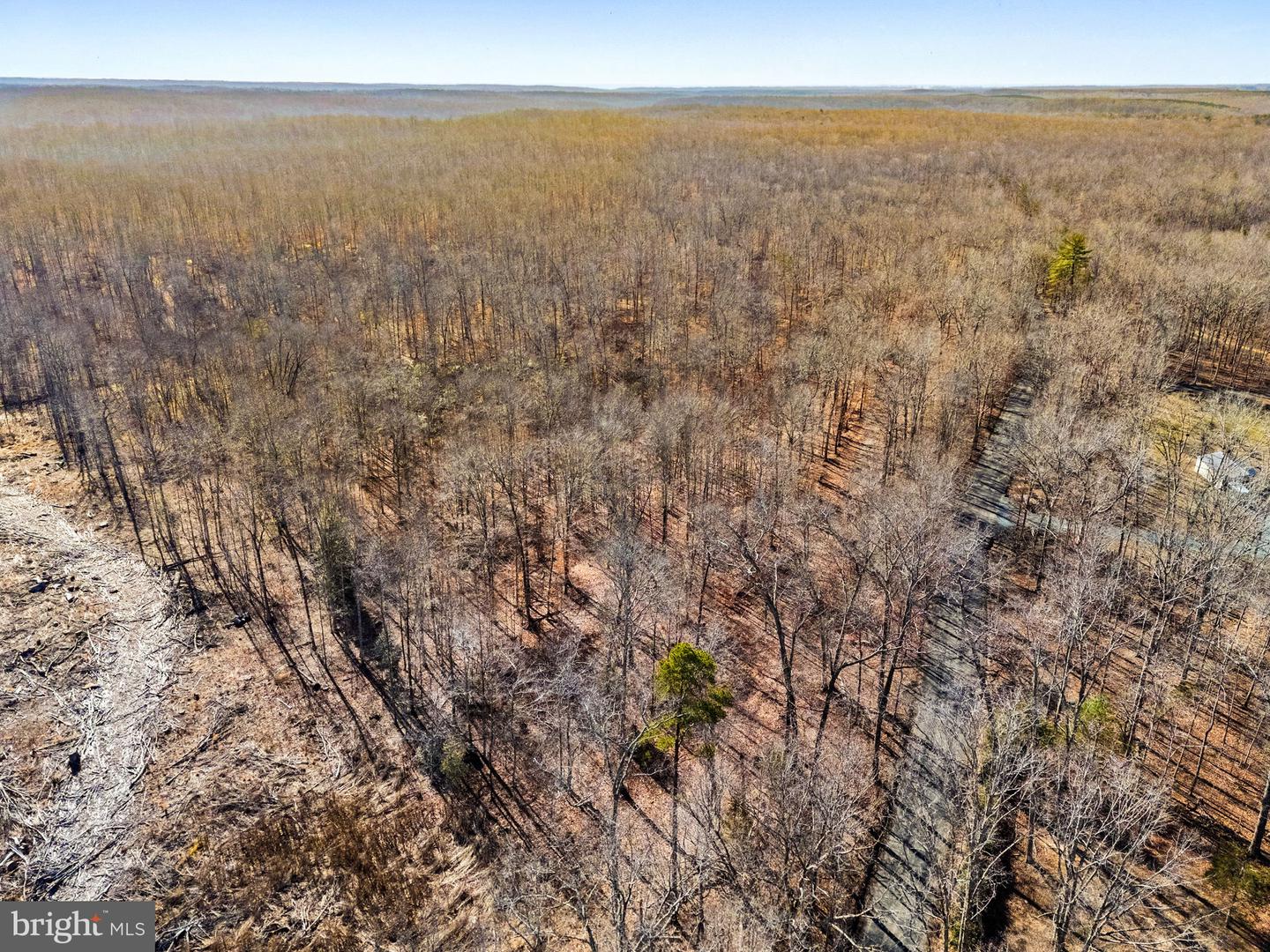 SPRING MILL ROAD, GOLDVEIN, Virginia 22720, ,Farm,For sale,SPRING MILL ROAD,VAFQ2020478 MLS # VAFQ2020478 SPRING MILL ROAD, GOLDVEIN, Virginia 22720, ,Farm,For sale,SPRING MILL ROAD,VAFQ2020478 MLS # VAFQ2020478
