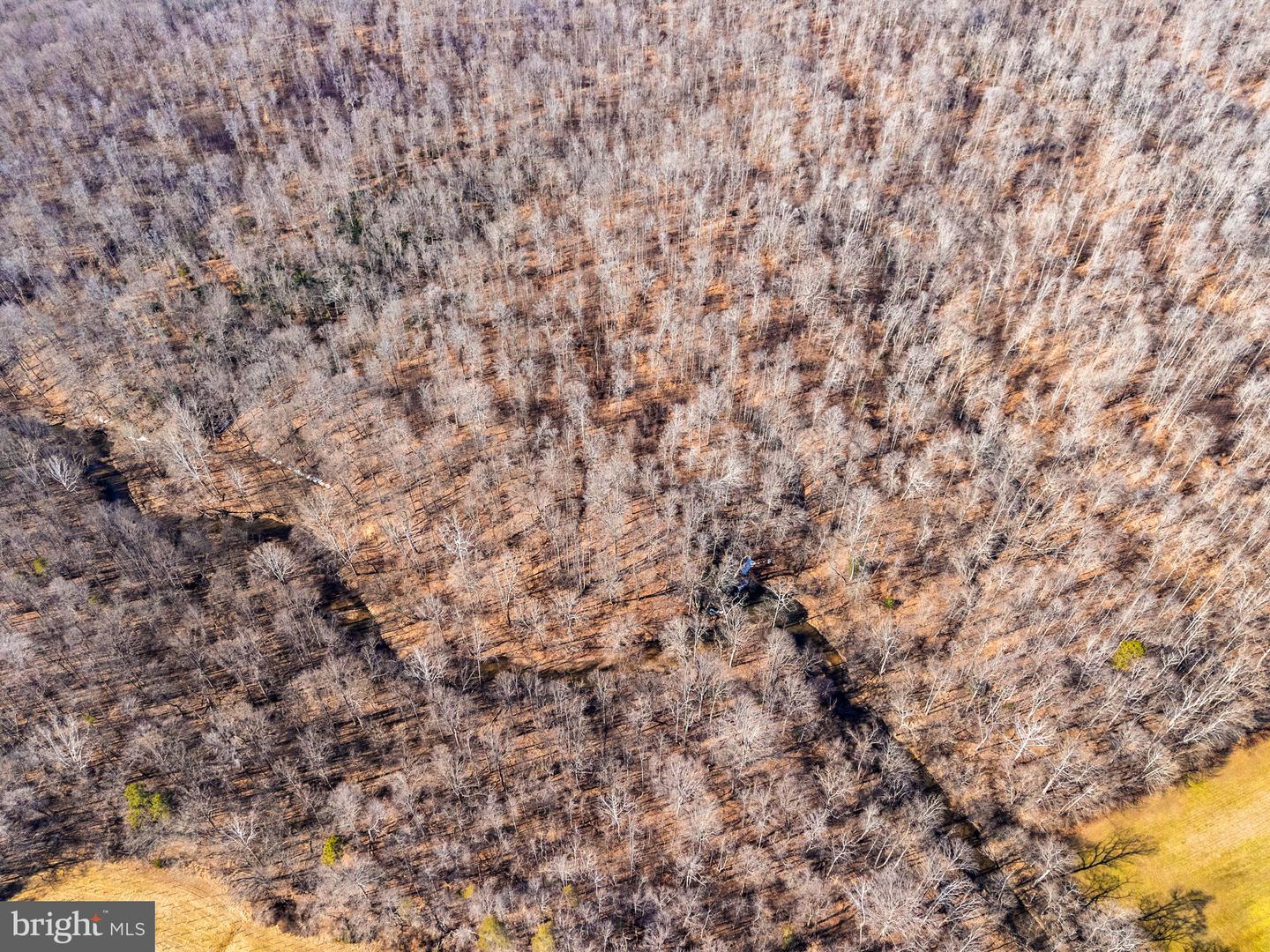 SPRING MILL ROAD, GOLDVEIN, Virginia 22720, ,Farm,For sale,SPRING MILL ROAD,VAFQ2020478 MLS # VAFQ2020478 SPRING MILL ROAD, GOLDVEIN, Virginia 22720, ,Farm,For sale,SPRING MILL ROAD,VAFQ2020478 MLS # VAFQ2020478