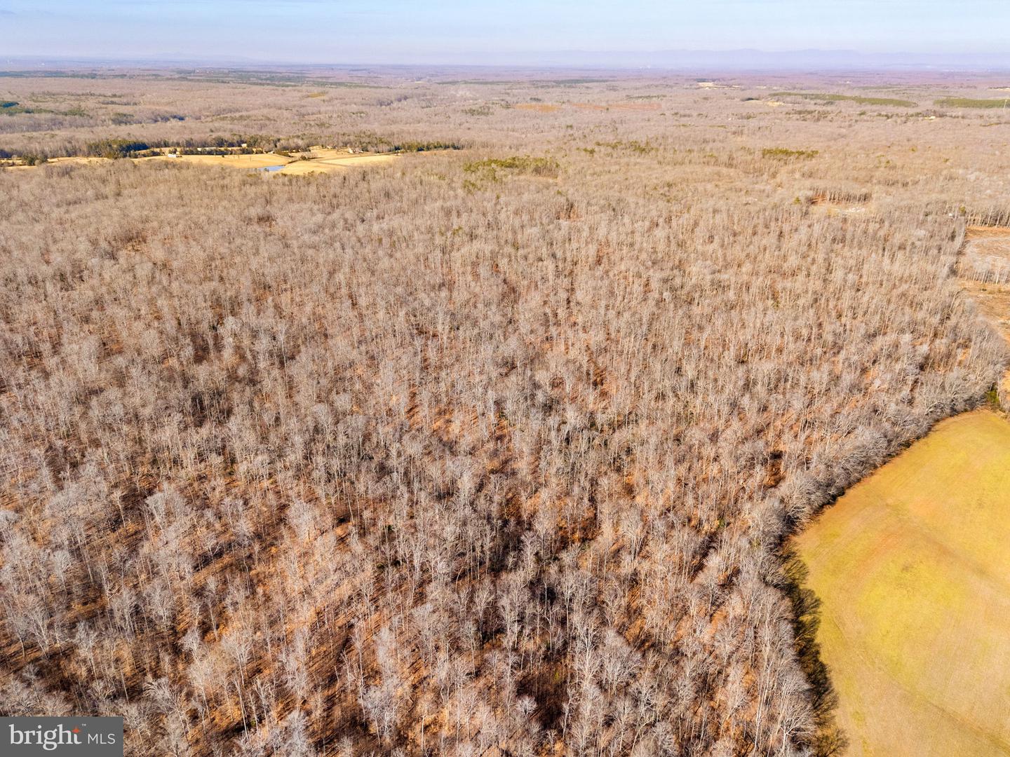 SPRING MILL ROAD, GOLDVEIN, Virginia 22720, ,Farm,For sale,SPRING MILL ROAD,VAFQ2020478 MLS # VAFQ2020478 SPRING MILL ROAD, GOLDVEIN, Virginia 22720, ,Farm,For sale,SPRING MILL ROAD,VAFQ2020478 MLS # VAFQ2020478