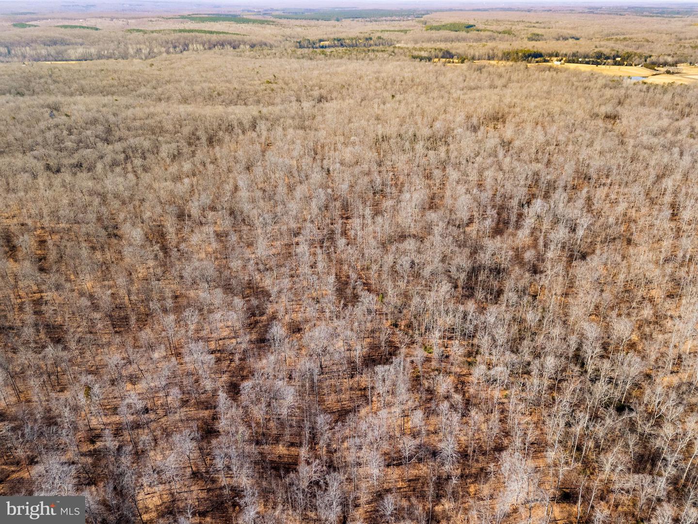 SPRING MILL ROAD, GOLDVEIN, Virginia 22720, ,Farm,For sale,SPRING MILL ROAD,VAFQ2020478 MLS # VAFQ2020478 SPRING MILL ROAD, GOLDVEIN, Virginia 22720, ,Farm,For sale,SPRING MILL ROAD,VAFQ2020478 MLS # VAFQ2020478