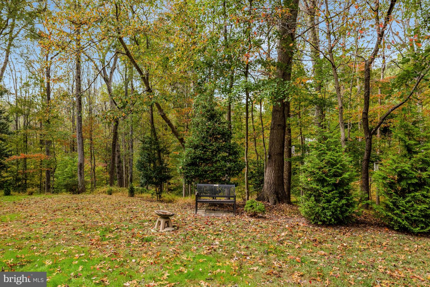 526 SPRINGVALE RD, GREAT FALLS, Virginia 22066, 6 Bedrooms Bedrooms, ,3 BathroomsBathrooms,Residential,For sale,526 SPRINGVALE RD,VAFX2274206 MLS # VAFX2274206 526 SPRINGVALE RD, GREAT FALLS, Virginia 22066, 6 Bedrooms Bedrooms, ,3 BathroomsBathrooms,Residential,For sale,526 SPRINGVALE RD,VAFX2274206 MLS # VAFX2274206