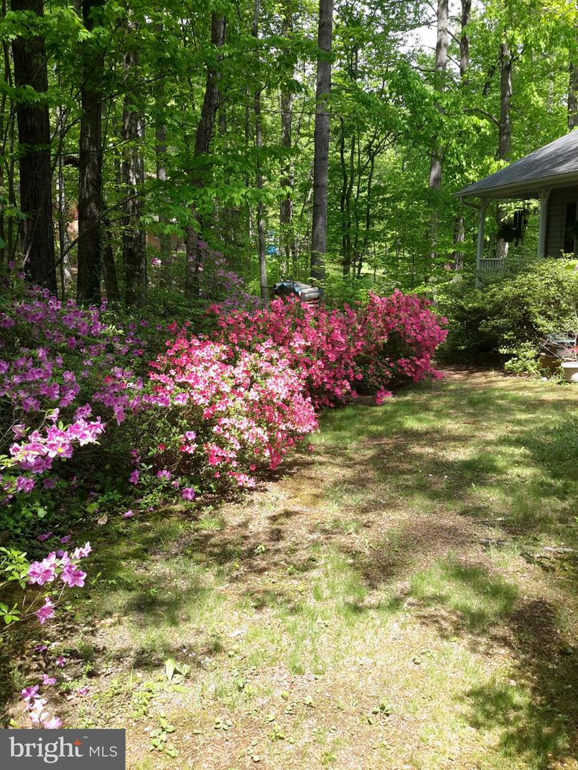 13437 BRISTOW RD, NOKESVILLE, Virginia 20181, 4 Bedrooms Bedrooms, 7 Rooms Rooms,3 BathroomsBathrooms,Residential,For sale,13437 BRISTOW RD,VAPW2106370 MLS # VAPW2106370