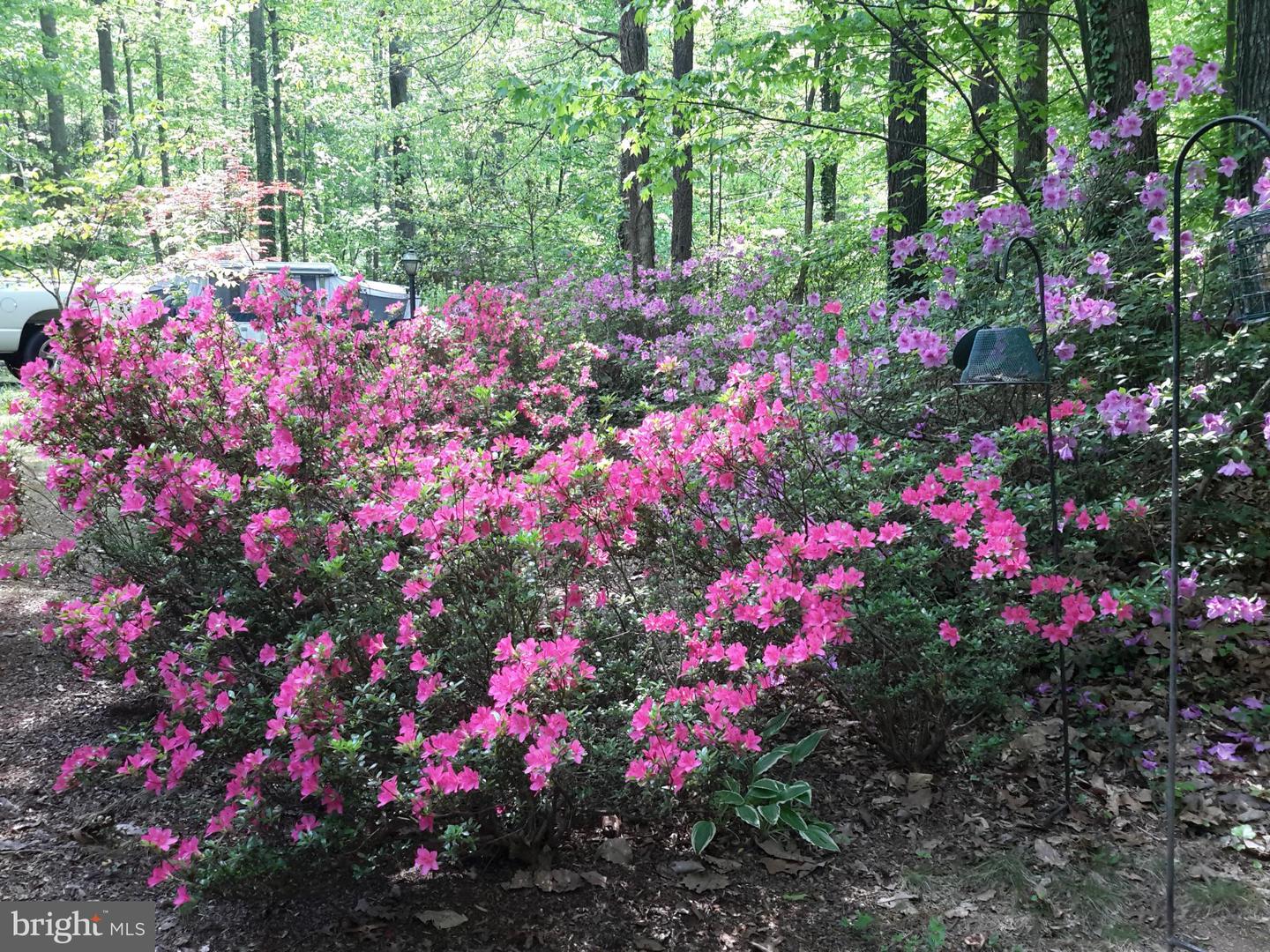 13437 BRISTOW RD, NOKESVILLE, Virginia 20181, 4 Bedrooms Bedrooms, 7 Rooms Rooms,3 BathroomsBathrooms,Residential,For sale,13437 BRISTOW RD,VAPW2106370 MLS # VAPW2106370