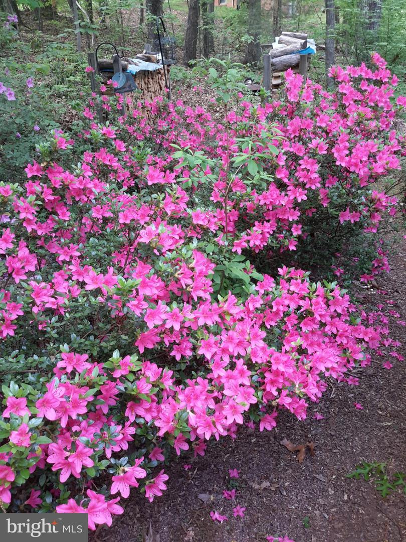 13437 BRISTOW RD, NOKESVILLE, Virginia 20181, 4 Bedrooms Bedrooms, 7 Rooms Rooms,3 BathroomsBathrooms,Residential,For sale,13437 BRISTOW RD,VAPW2106370 MLS # VAPW2106370