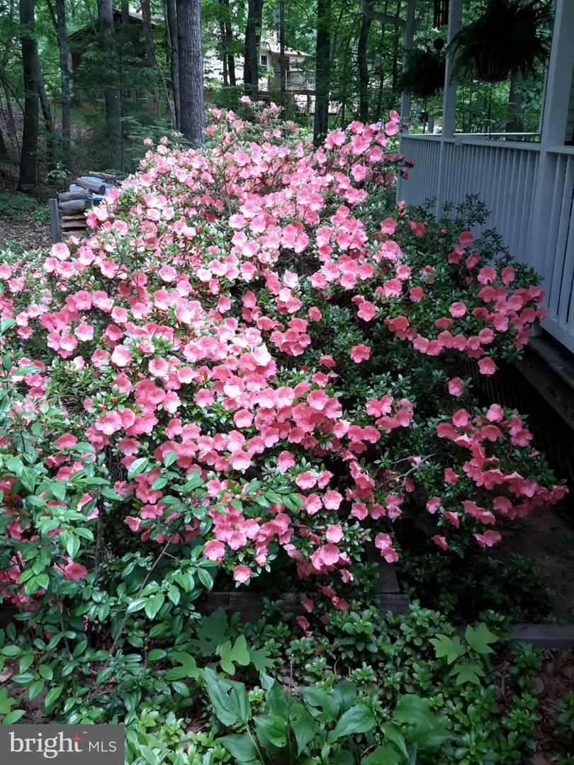 13437 BRISTOW RD, NOKESVILLE, Virginia 20181, 4 Bedrooms Bedrooms, 7 Rooms Rooms,3 BathroomsBathrooms,Residential,For sale,13437 BRISTOW RD,VAPW2106370 MLS # VAPW2106370