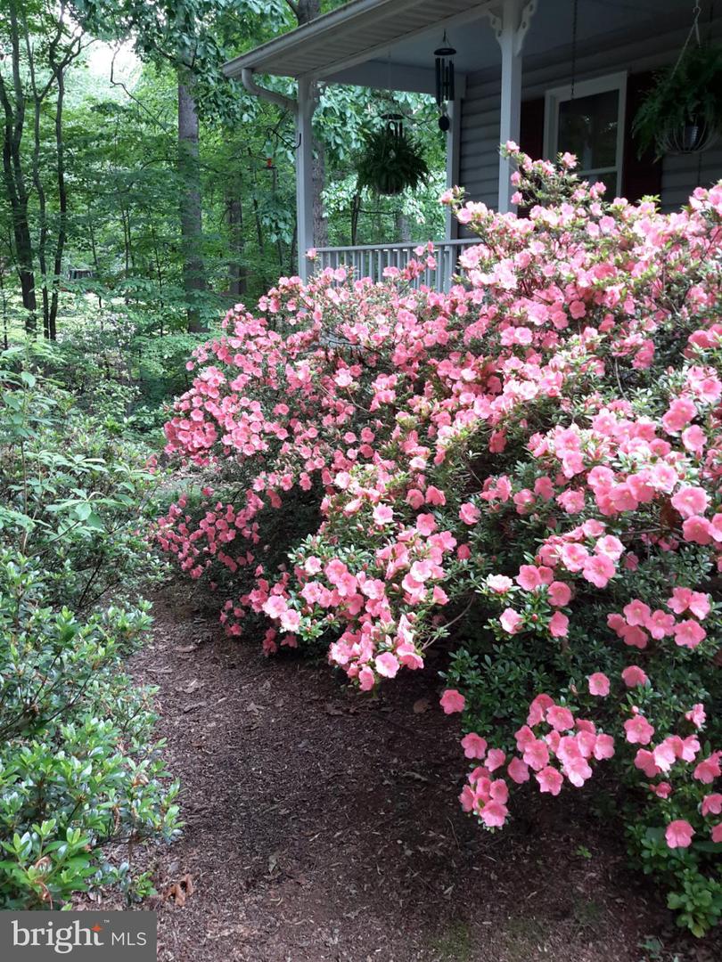 13437 BRISTOW RD, NOKESVILLE, Virginia 20181, 4 Bedrooms Bedrooms, 7 Rooms Rooms,3 BathroomsBathrooms,Residential,For sale,13437 BRISTOW RD,VAPW2106370 MLS # VAPW2106370