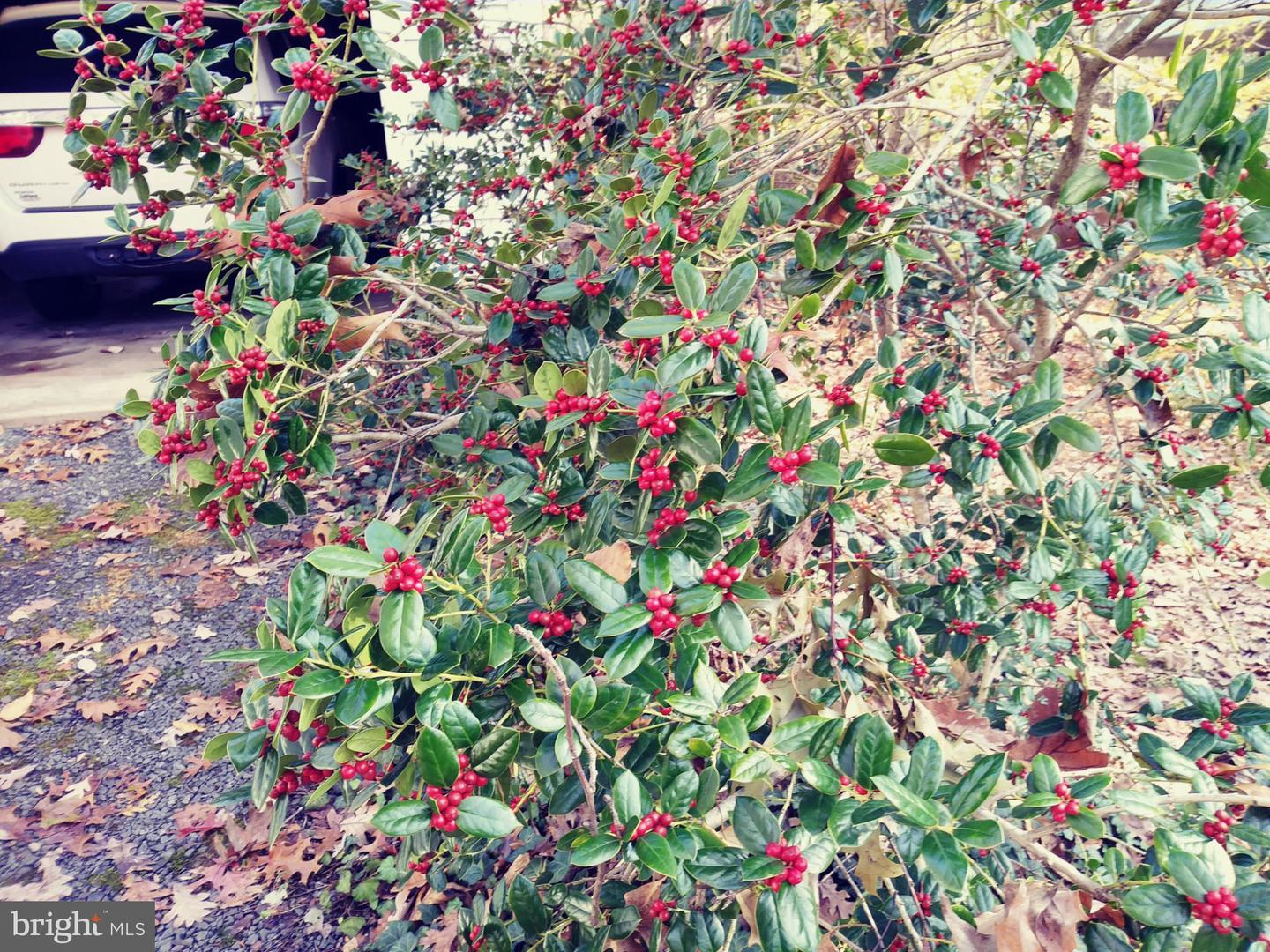 13437 BRISTOW RD, NOKESVILLE, Virginia 20181, 4 Bedrooms Bedrooms, 7 Rooms Rooms,3 BathroomsBathrooms,Residential,For sale,13437 BRISTOW RD,VAPW2106370 MLS # VAPW2106370