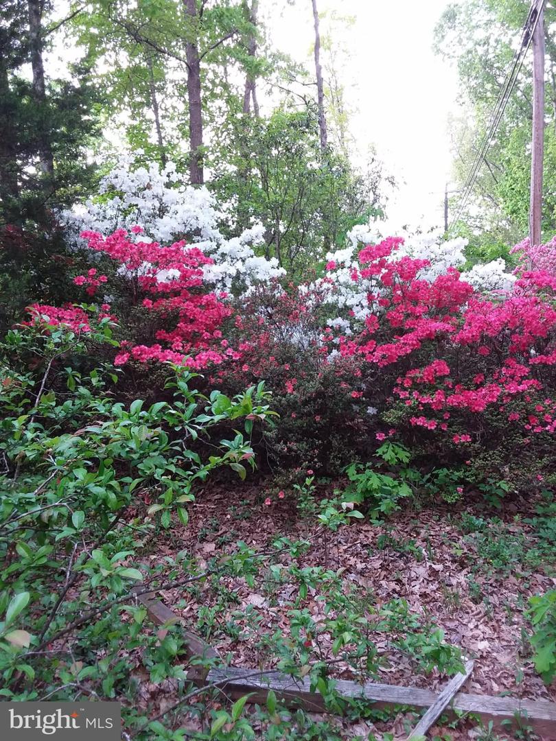 13437 BRISTOW RD, NOKESVILLE, Virginia 20181, 4 Bedrooms Bedrooms, 7 Rooms Rooms,3 BathroomsBathrooms,Residential,For sale,13437 BRISTOW RD,VAPW2106370 MLS # VAPW2106370