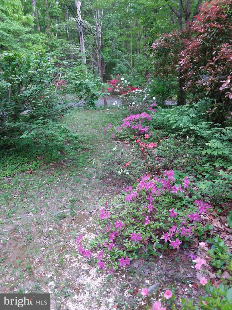 13437 BRISTOW RD, NOKESVILLE, Virginia 20181, 4 Bedrooms Bedrooms, 7 Rooms Rooms,3 BathroomsBathrooms,Residential,For sale,13437 BRISTOW RD,VAPW2106370 MLS # VAPW2106370