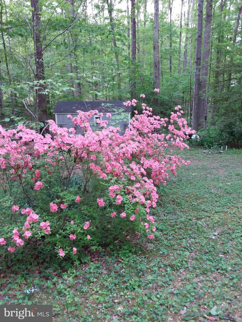 13437 BRISTOW RD, NOKESVILLE, Virginia 20181, 4 Bedrooms Bedrooms, 7 Rooms Rooms,3 BathroomsBathrooms,Residential,For sale,13437 BRISTOW RD,VAPW2106370 MLS # VAPW2106370